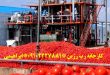 قیمت عمده رب گوجه فرنگی روژین