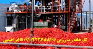 قیمت عمده رب گوجه فرنگی روژین