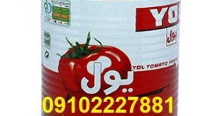 قیمت رب گوجه فرنگی یول